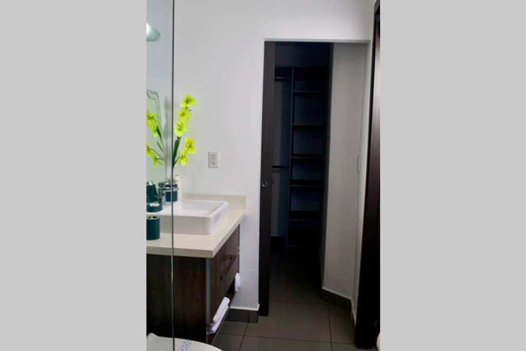 Lujoso Y Acogedor Condominio Ejecutivo/Familiar 圣佩德罗苏拉 外观 照片